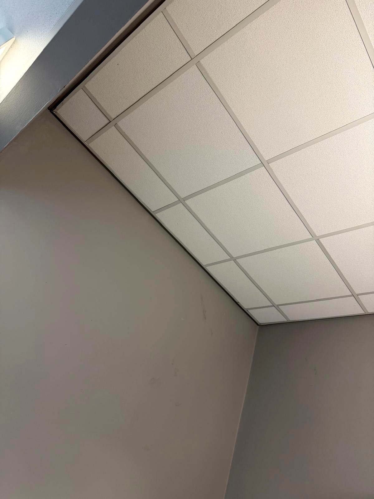 Glass Partitioning & Suspended Ceiling